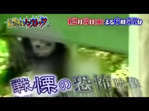 騎士a生放送日産ジェルセレナ紅白登場シーン堺颯真人ブローカーまひと⚫そうま雪村田祐樹ブローカーゆきむら⚫ばぁう坂田銀河鉄道時命照人日野晃博メーテルリンク阿連須沢美久留天秤ブローカーてると⚫しゆん天