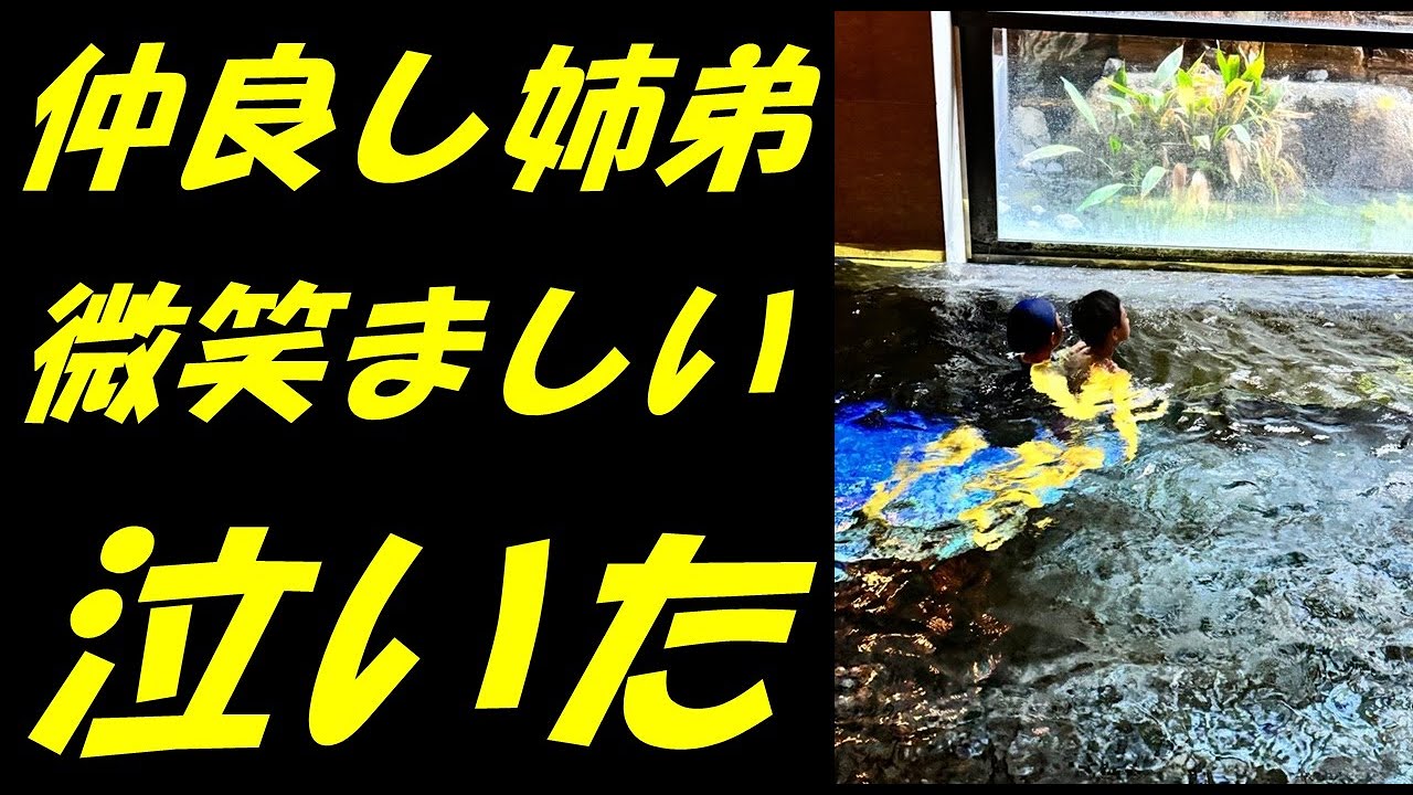 【海老蔵改め團十郎】妻・小林麻央さんも喜んでいると思う“最高のクリスマスプレゼント”「素晴らしい」「微笑ましい」【市川團十郎白猿】