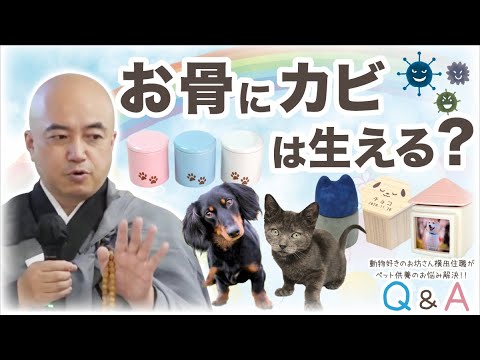 Q17.お骨にカビは生える？／ペット供養Q&A