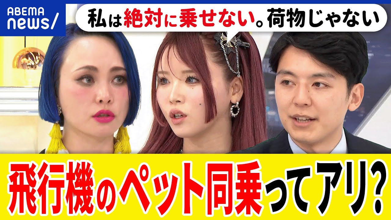 【ペット同乗】飛行機の客室にはアリ？貨物室は可哀想？緊急避難時に判断は？ヒトと動物の命は平等？あおちゃんぺと考える｜アベプラ