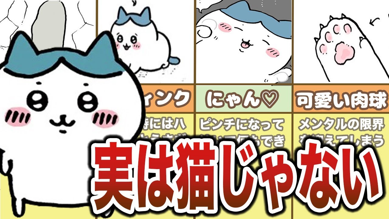 ＜総集編＞ハチワレは実は猫じゃない？ちいかわの闇要素まとめ【ゆっくり解説】