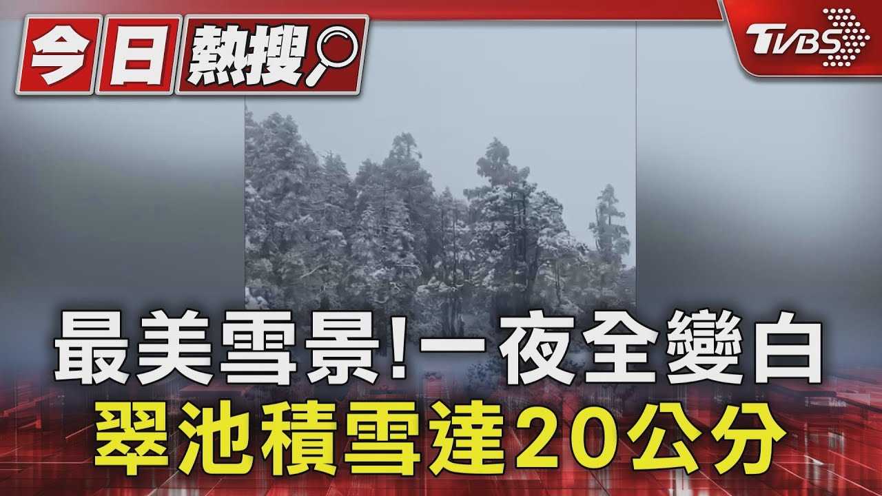 最美雪景!一夜全變白 翠池積雪達20公分｜TVBS新聞 @TVBSNEWS01