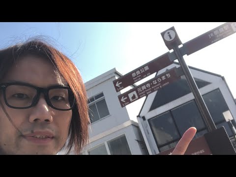奈良を歩き大阪ハロコン回想 Hello! Project 2024 Winter～THREE OF US～ チームAモーニング娘。'24つばきファクトリーBEYOOOOONDSオ1/21 ハロプロ