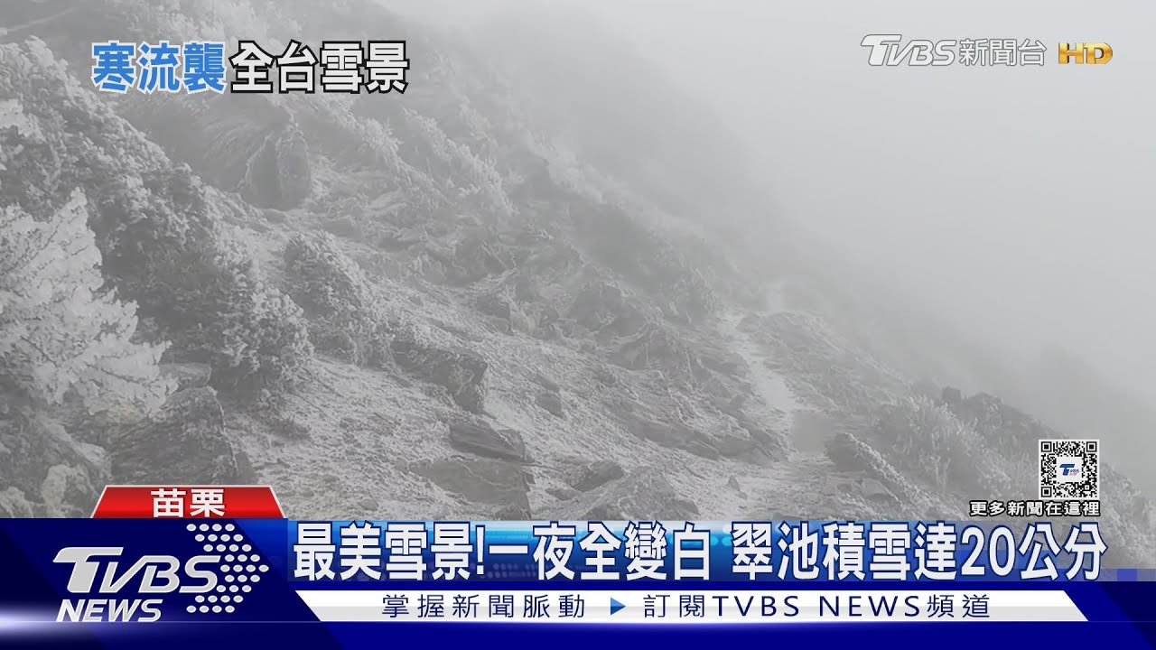 最美雪景!一夜全變白 翠池積雪達20公分｜TVBS新聞 @TVBSNEWS02