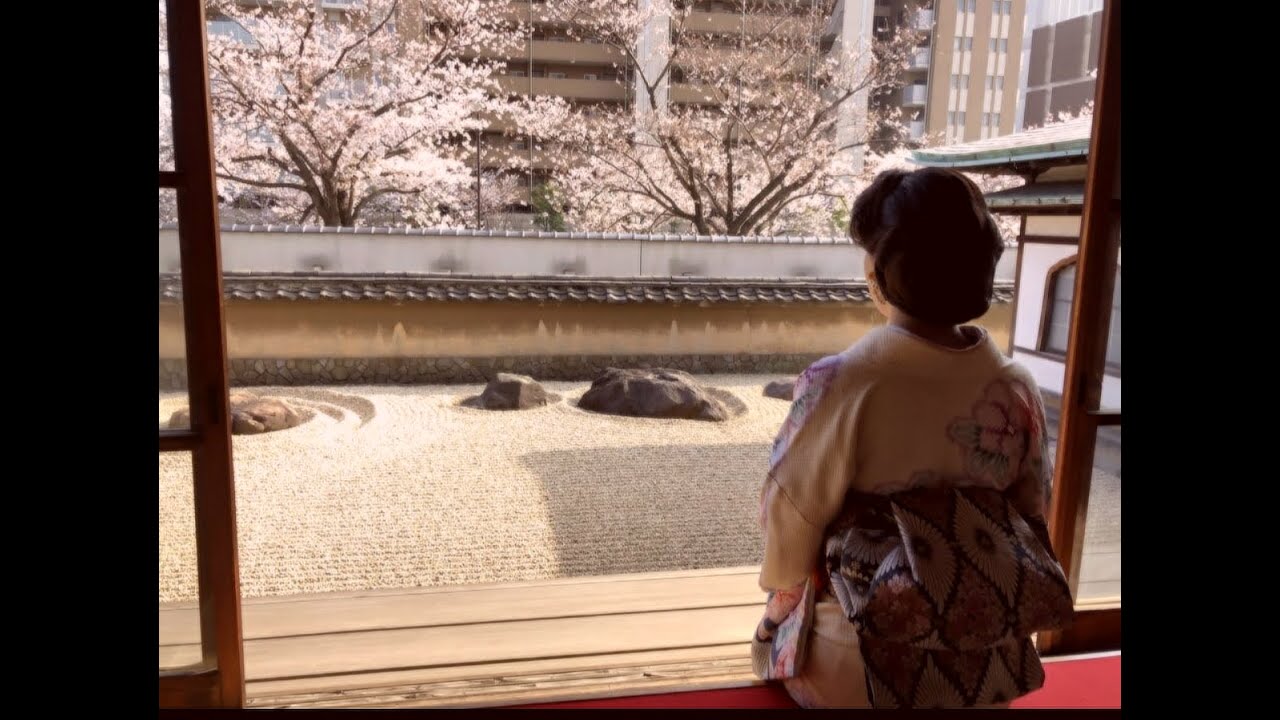 市川由紀乃さん『夫婦坂』