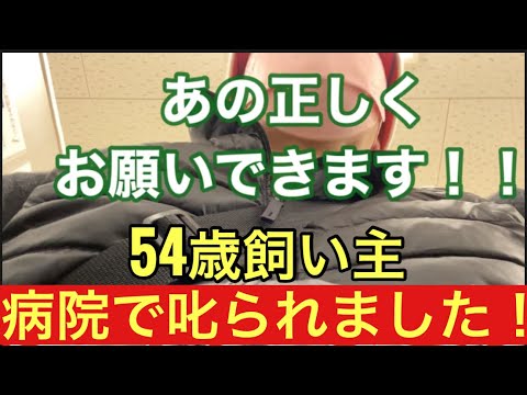 【柴犬飼い主54歳】病院で悪ふざけしていたら怒られました😙