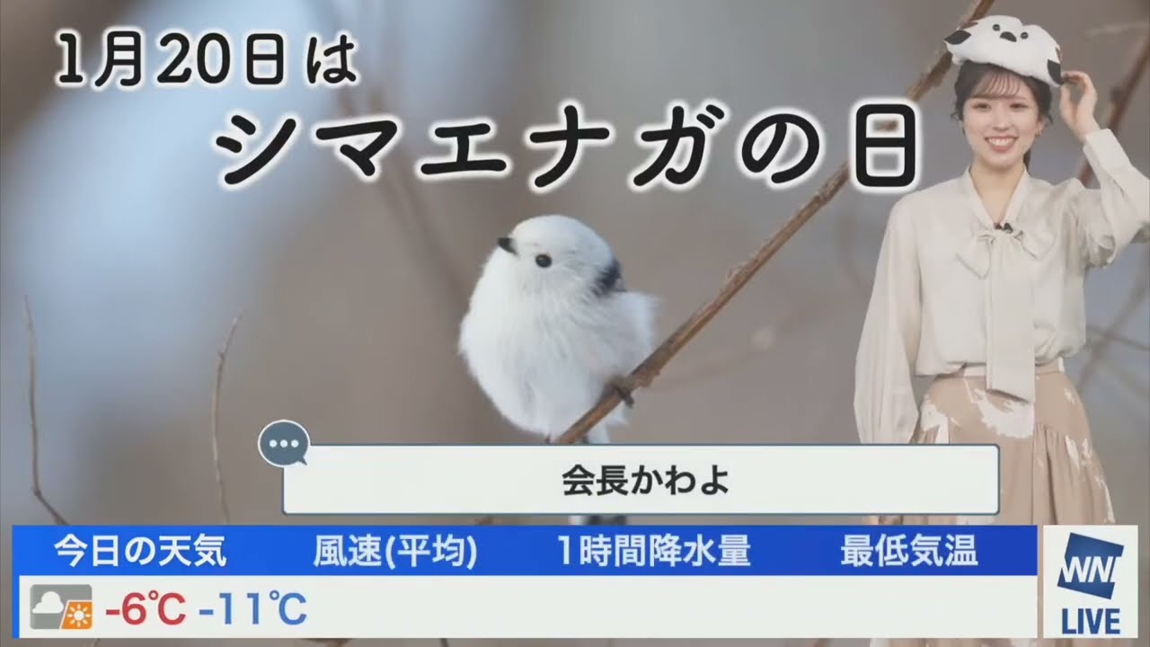 シマエナガってどんな鳥？ 2024 01 20　小林李衣奈