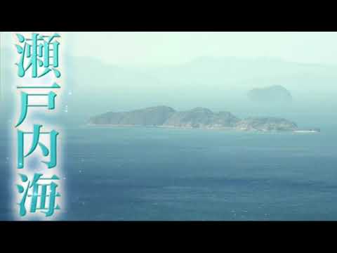 🔴ライブ配信 ポツンと一軒家1月28日＜愛媛/ミカン農家/瀬戸内海＞2024年1月28日LIVE FULL HD