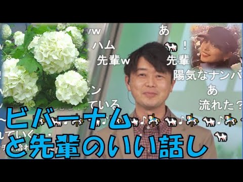 【川畑玲・内田侑希】👦🐄っ「ビバーナムの花言葉はゆっきーにピッタリの茶目っ気(ニコ生コメ有り)」