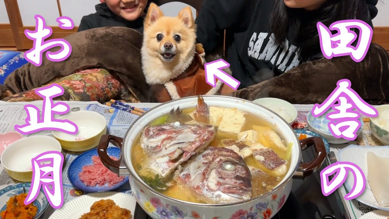 【帰省】福島の実家に帰省したアラサー独身男と愛犬のお正月休み