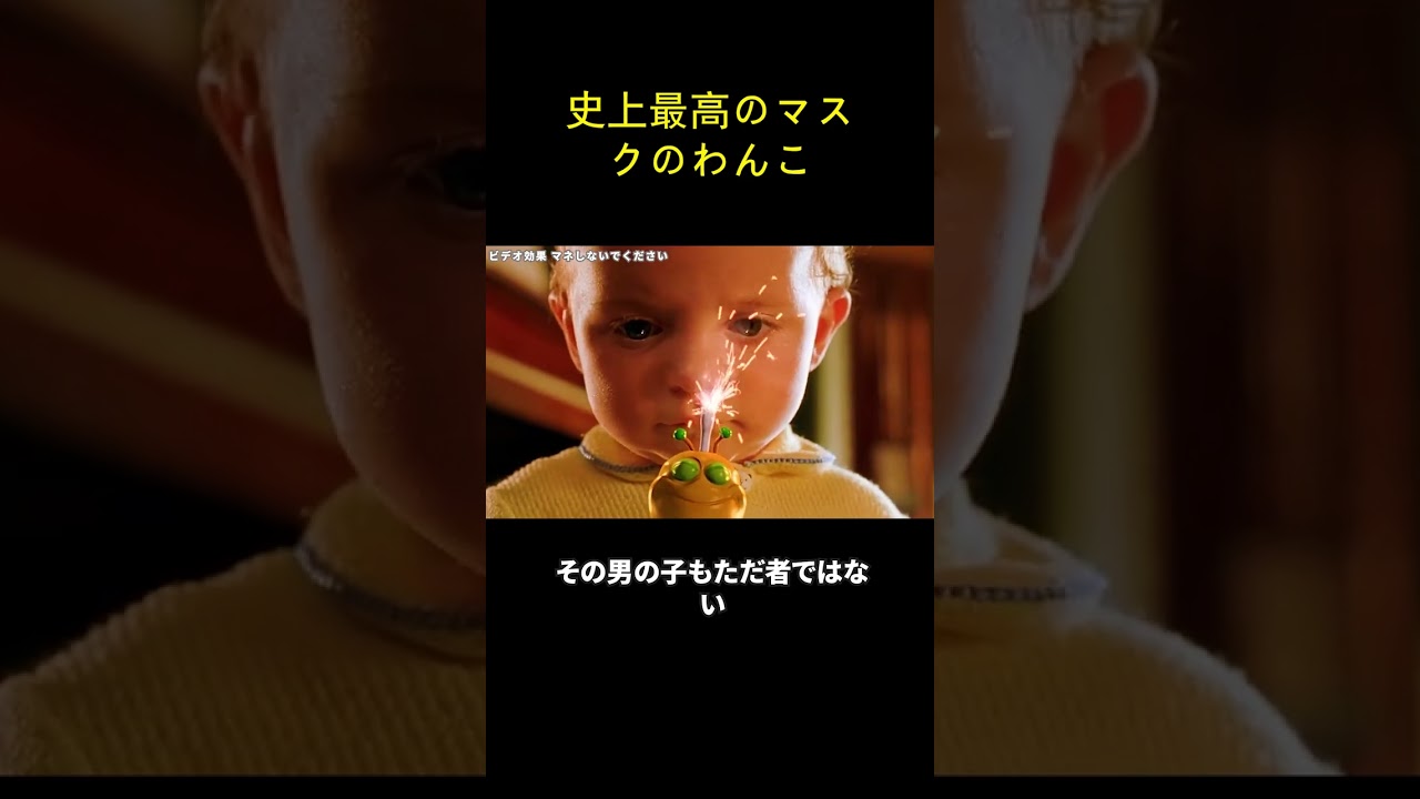 史上最高のマスクのわんこ