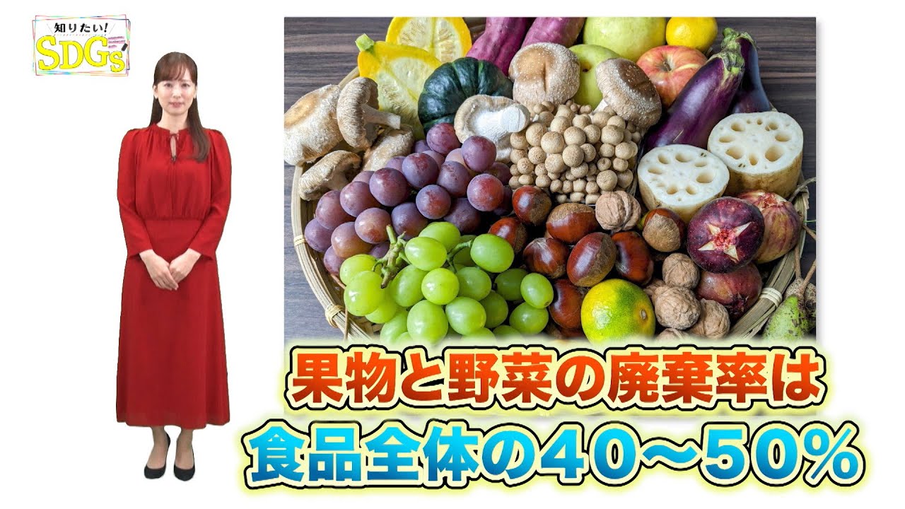 知りたい！SDGs #227 | 2024/2/1放送