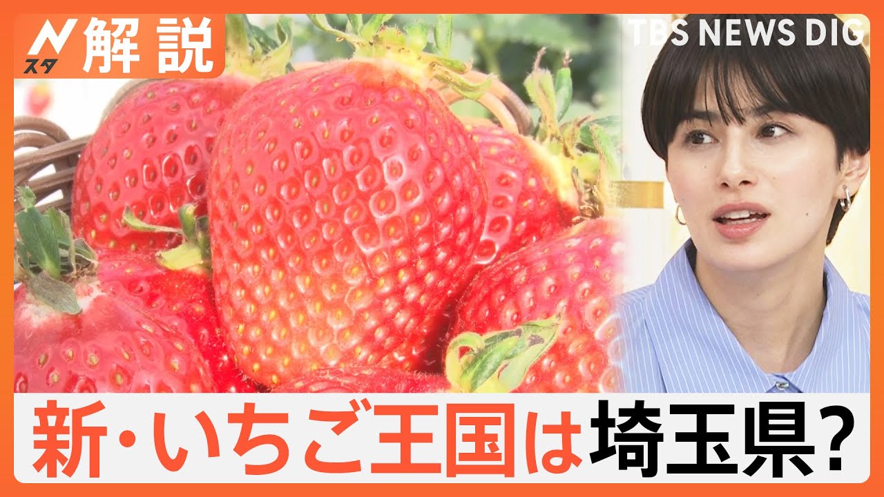 埼玉県 いちごのおいしさ日本一、“いちご王国”栃木に挑む！【Nスタ解説】｜TBS NEWS DIG