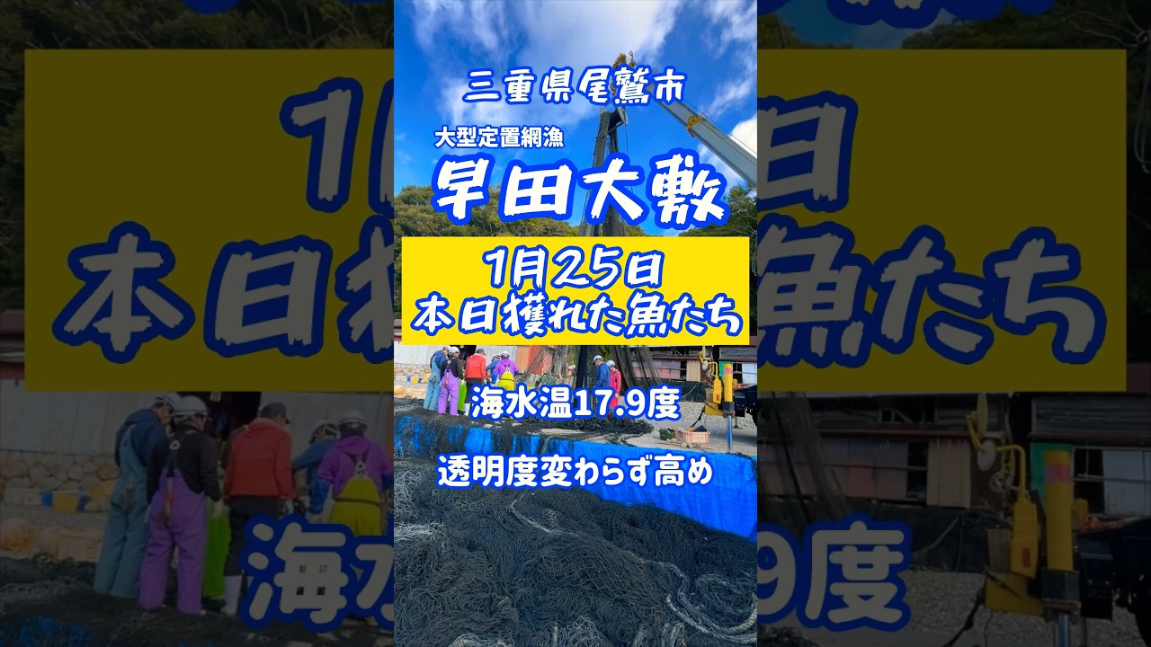 ハダカイワシだらけの平和な海#shorts