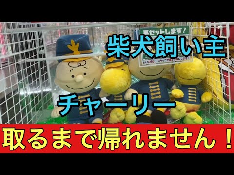 【柴犬飼い主54歳】ドカタがクレーンゲーム！