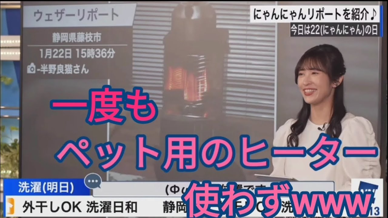 にゃんにゃんリポート【山岸愛梨】