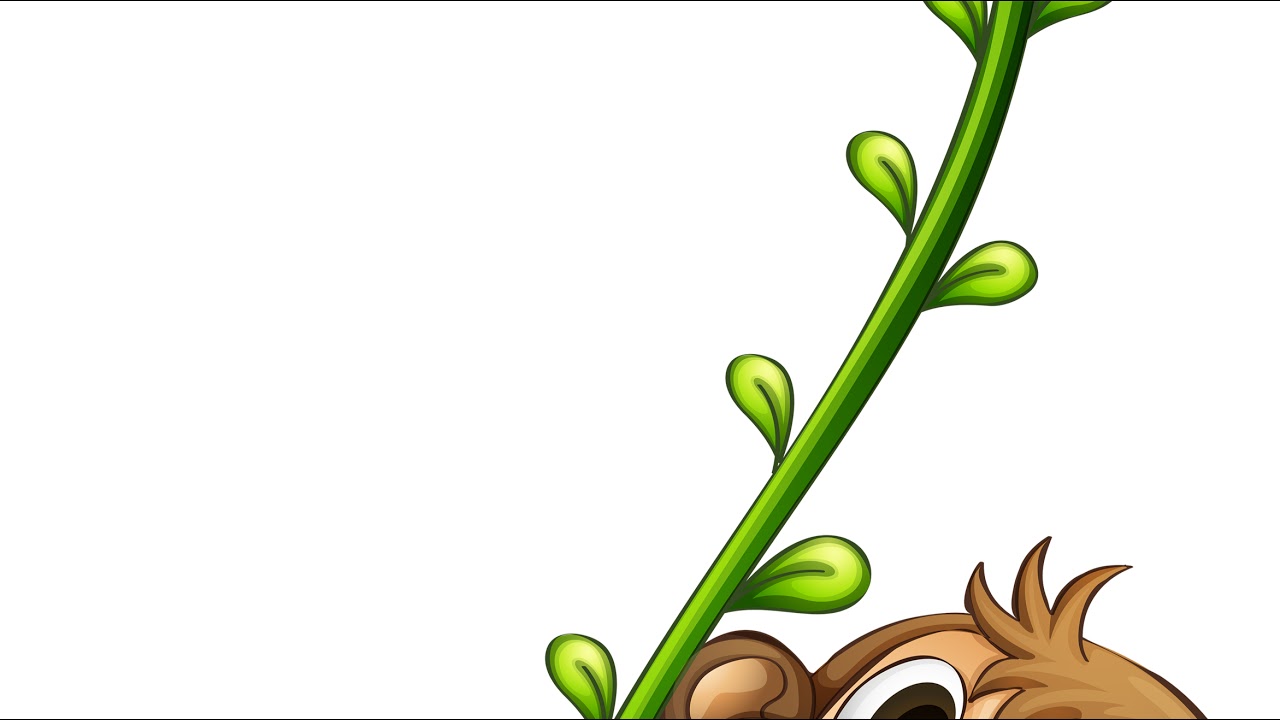 【LIVE】めざましテレビ 2024年2月5日 𝓕𝓤𝓛𝓛𝓢𝓗𝓞𝓦【HD】