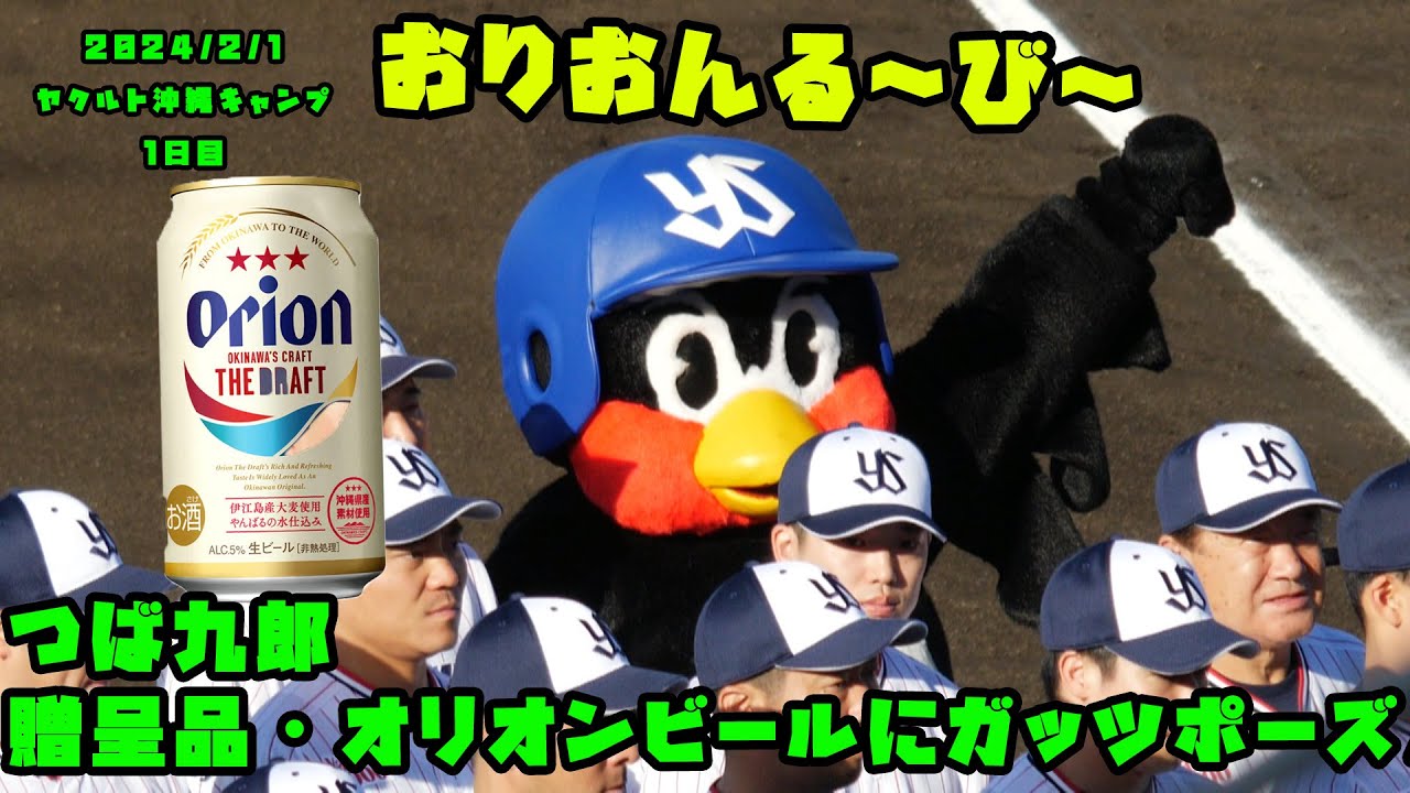 つば九郎　贈呈品のオリオンビールにガッツポーズ！！　2024/2/1 ヤクルト沖縄キャンプ1日目