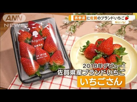表参道×佐賀いちご「いちごさんどう2024」絶品スイーツにビールのお供【あらいーな】【あらいーな】【グッド！モーニング】(2024年2月7日)