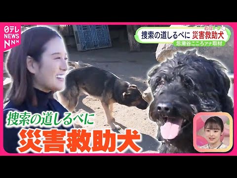 【能登半島地震】行方不明者捜索の道しるべに災害救助犬の活動とは？  忽滑谷こころアナウンサーが取材【おはトク】