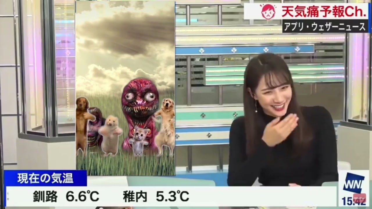 #放送事故【どうしたの？もうこわくないよ】