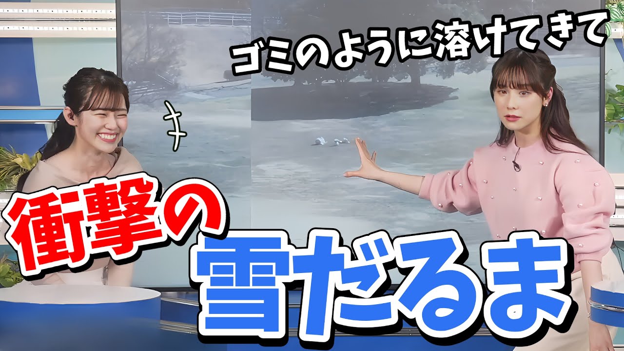 【松雪彩花・青原桃香】駒木公園に雪だるま発見！溶けないように雪だるまの生存をみんなで応援しましょう【ウェザーニュース切り抜き】
