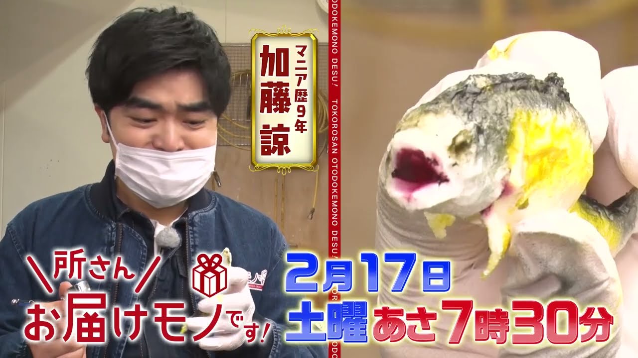 『所さんお届けモノです!』2/17(土) 加藤諒がスゴ技最前線を調査！進化し続ける食品サンプル!!【TBS】