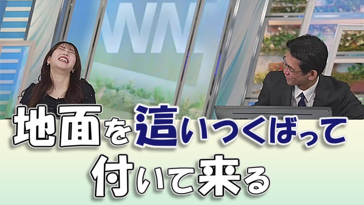 【#魚住茉由 & #山口剛央】地面を這いつくばって付いて来るw / #ウェザーニュースLiVE #切り抜き