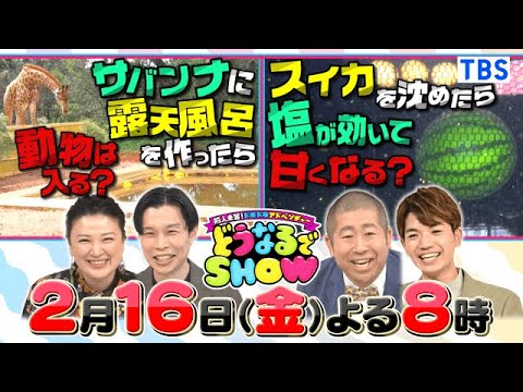 深海に沈めたスイカの味は？ハライチ大興奮の検証映像は必見!!『どうなるでSHOW』 2/16(金)【TBS】