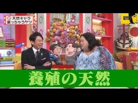 「有吉弘行 × 夏目三久 2024」結婚の話をしていた回 #3