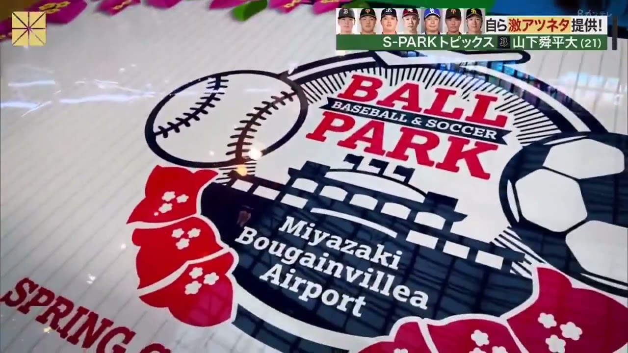 佐久間みなみ　プロ野球キャンプリポート