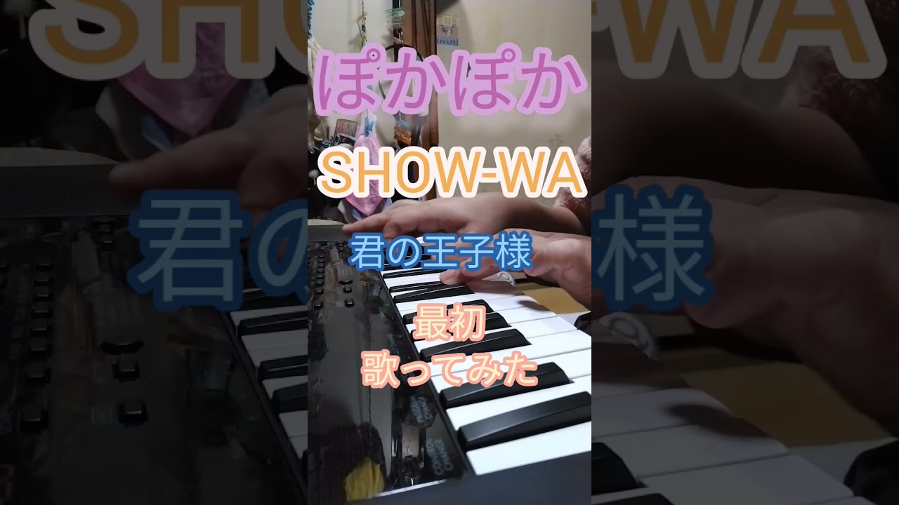 SHOW-WA【君の王子様】ぽかぽか　最初歌ってみた　#ぽかぽか #昭和 #君の王子様 #紅白歌合戦
