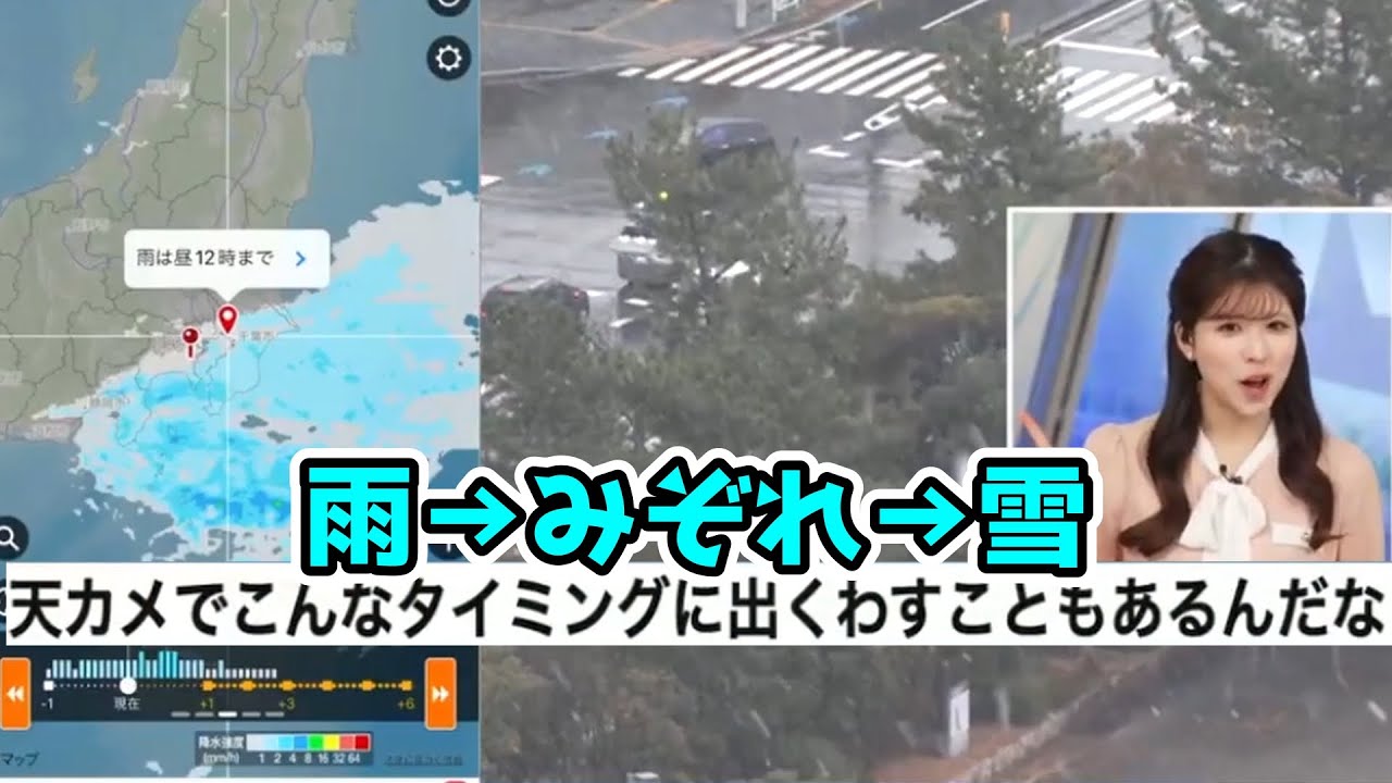 りーちゃんの圧で雨から雪に忖度してしまうお天気【小林李衣奈】