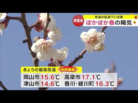 体の芯が冷えるような寒い朝から一転！ポカポカ陽気に　各地で今年の最高気温【岡山・岡山市】 (24/02/13 18:00)