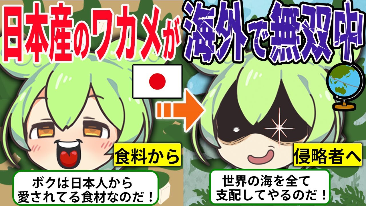 日本人が大好きな「ワカメ」が海外の海で無双した結果…海を支配してしまうw w【ずんだもん＆ゆっくり解説】