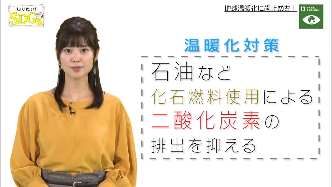 知りたい！SDGs #7 |2019年11月14日放送