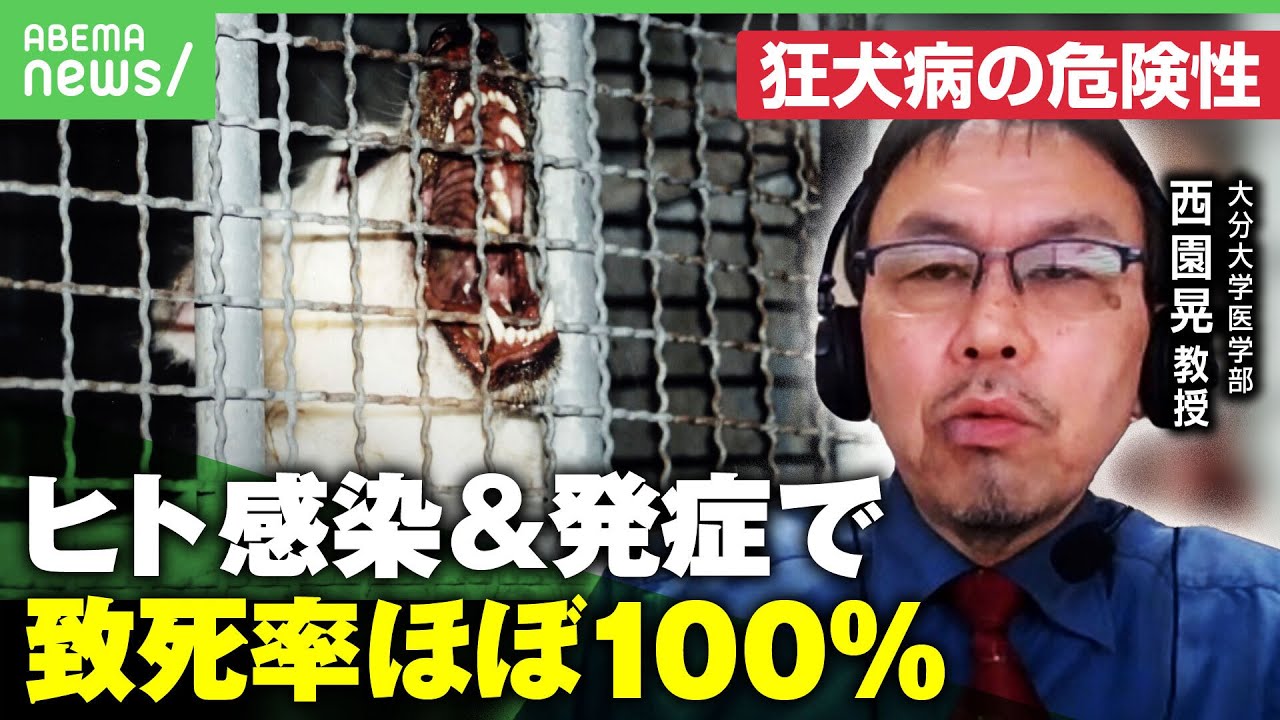 【狂犬病】発症すれば命の危険も…低下するワクチン接種率「知識が足りていない」｜アベヒル