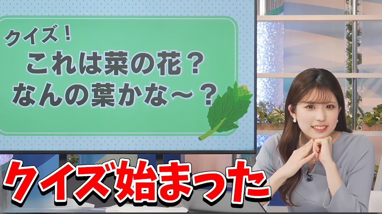 【小林李衣奈】葉っぱクイズ始まった！李衣奈ちゃんの「菜の花？なんの葉かなクイズ」【ウェザーニュース切り抜き】