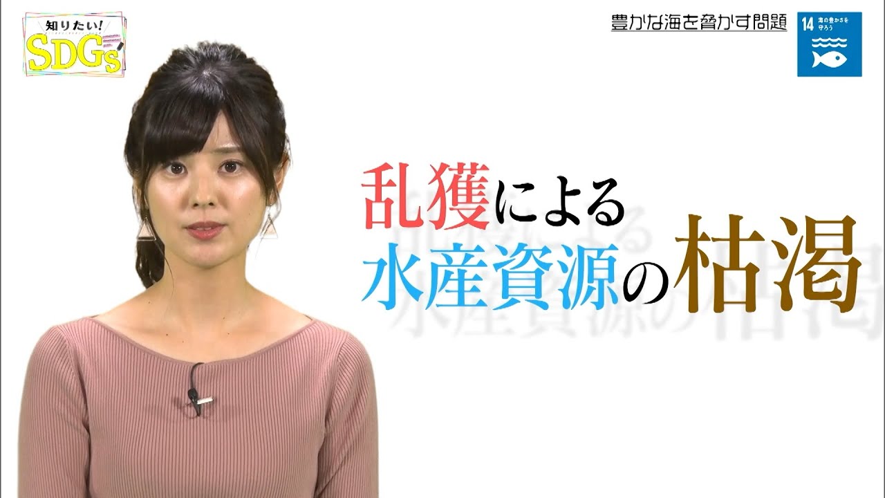 知りたい！SDGs #4 |2019年10月24日放送