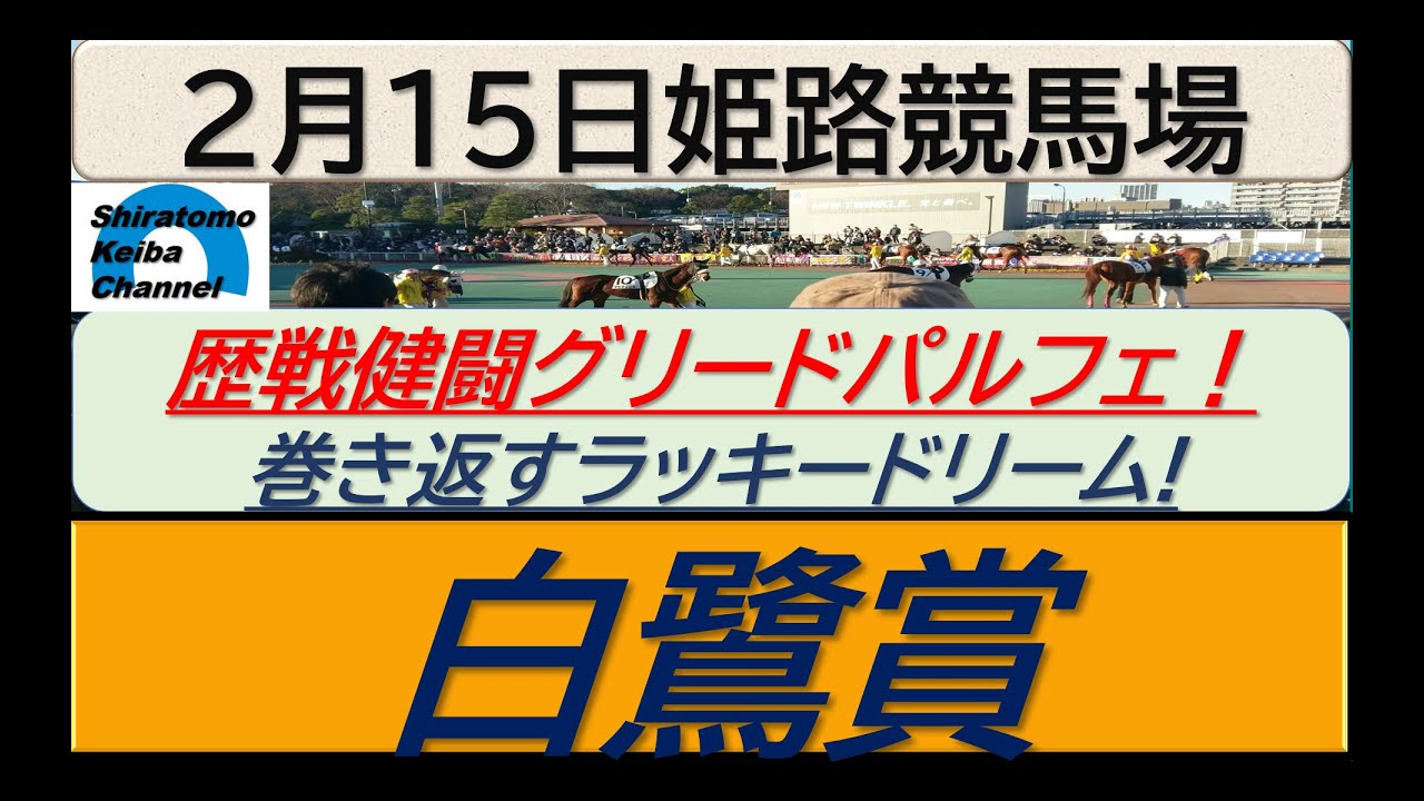 【競馬予想】重賞・白鷺賞！～２０２４年２月１５日 姫路競馬場 ：２－３２