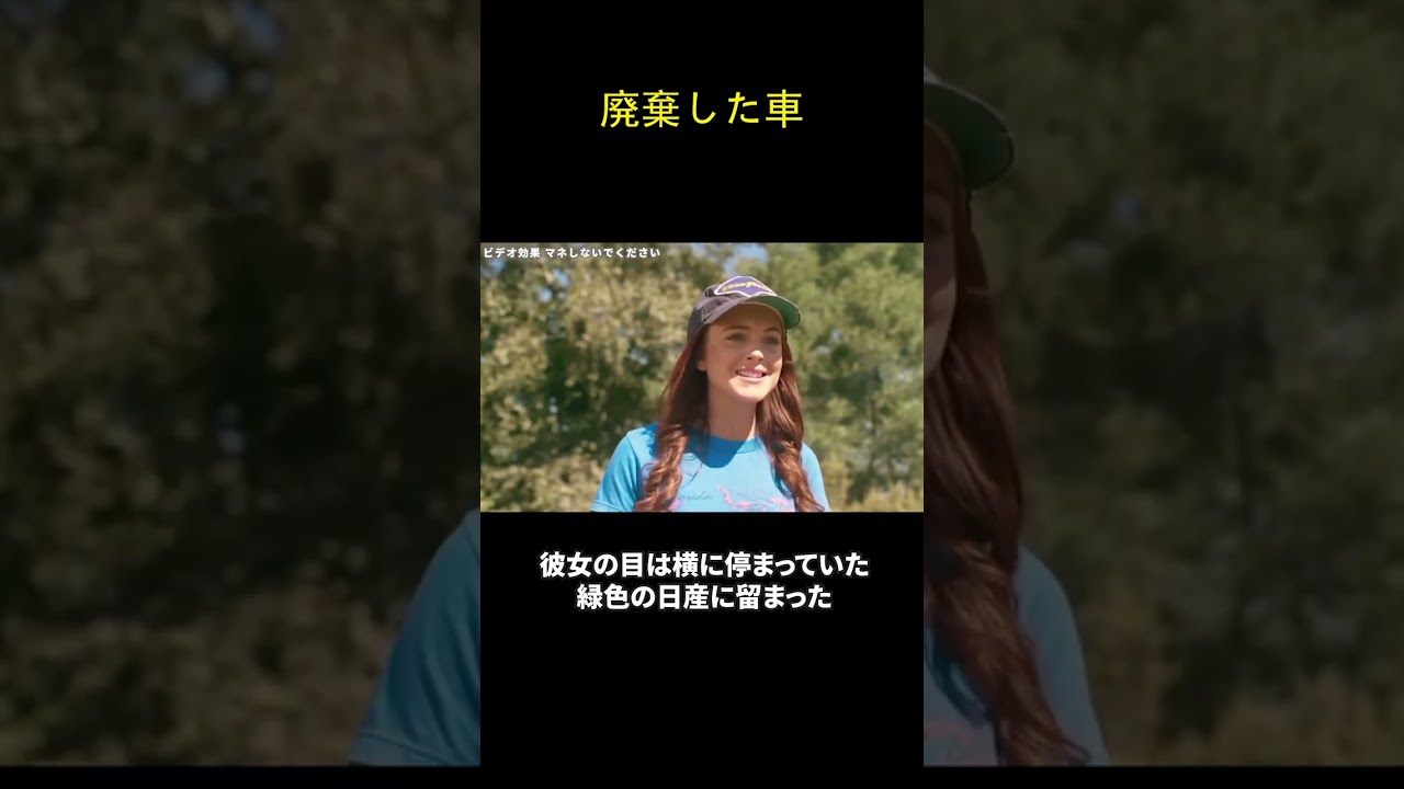 廃棄した車
