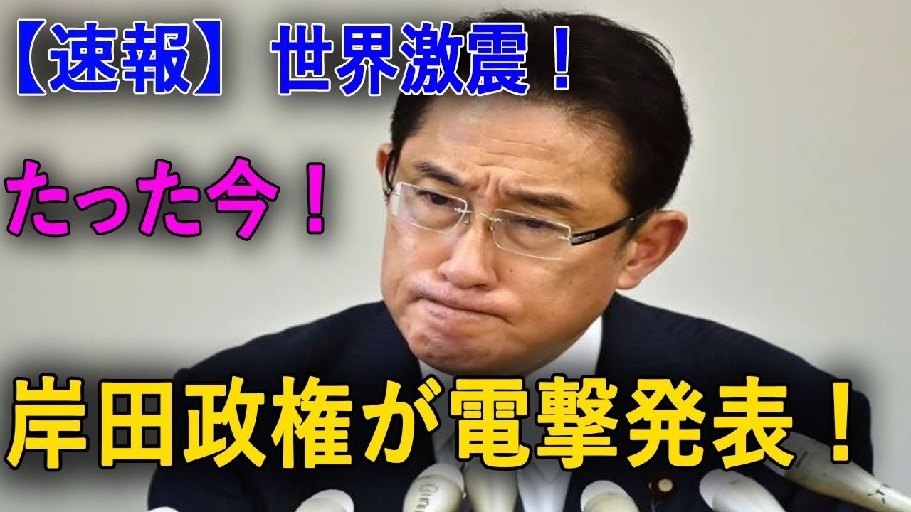 【日本反応】最新ニュース 2024年2月19日