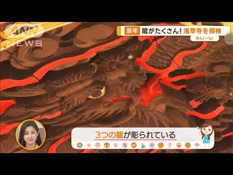 実は龍だらけ！の浅草寺　あの提灯の下、天井にも…いくつ発見できる？【あらいーな】【あらいーな】【グッド！モーニング】(2024年2月21日)