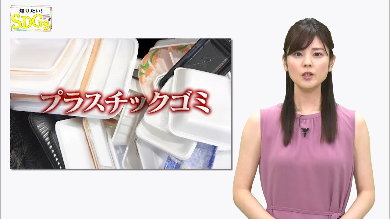 知りたい！SDGs #36 |2020年6月4日放送