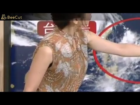 本日の桑子 真帆（19.07.31）