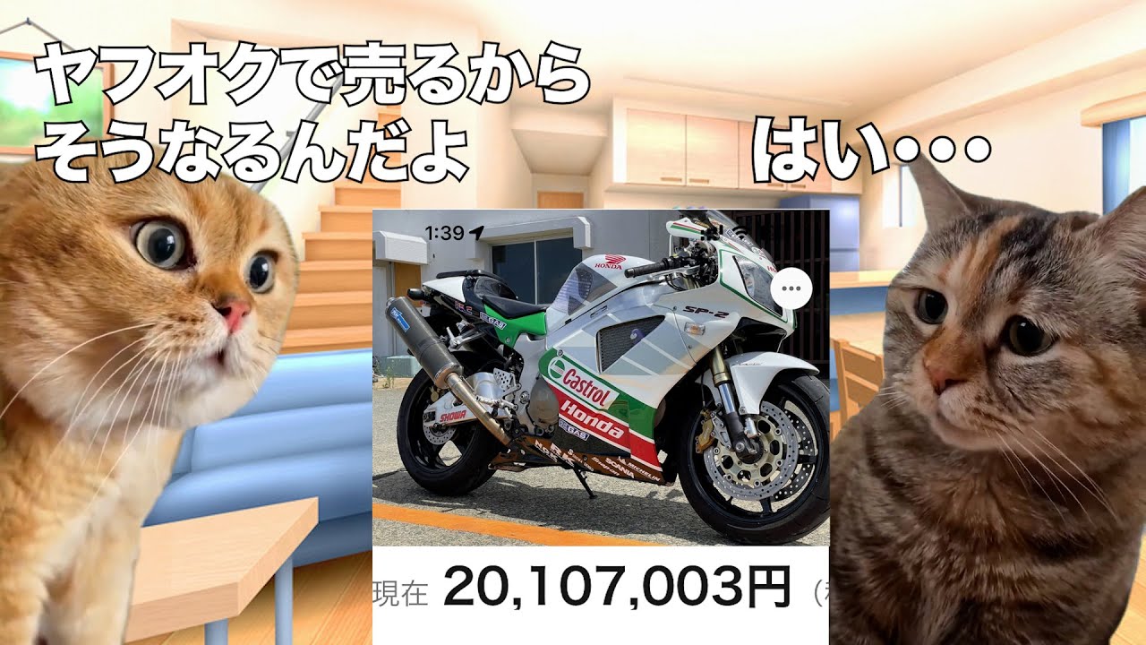 ヤフオクでバイクを売ろうとした人の末路 #猫ミーム #猫マニ