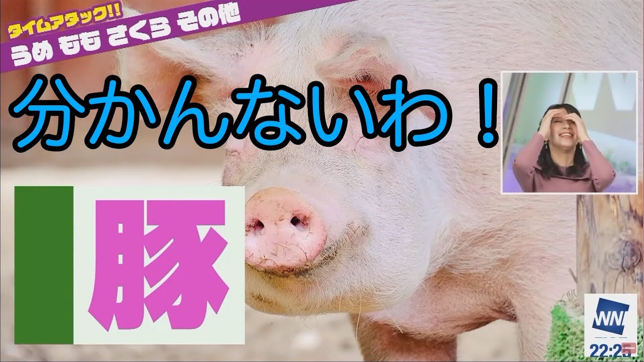 【おさや：フリートーク】「おさや、今年のうめももさくらに口が悪くなる」