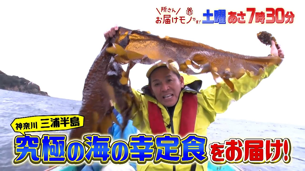 『所さんお届けモノです!』3/2(土) 春の三浦半島で絶品海の幸定食!!【TBS】
