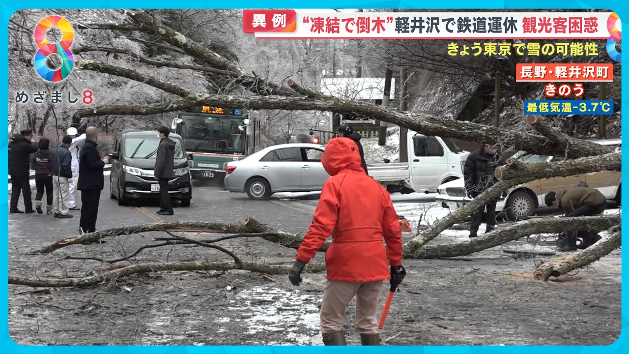 【異例】“凍結で倒木”軽井沢で鉄道運休 氷で覆われた架線…観光客も困惑【めざまし８ニュース】
