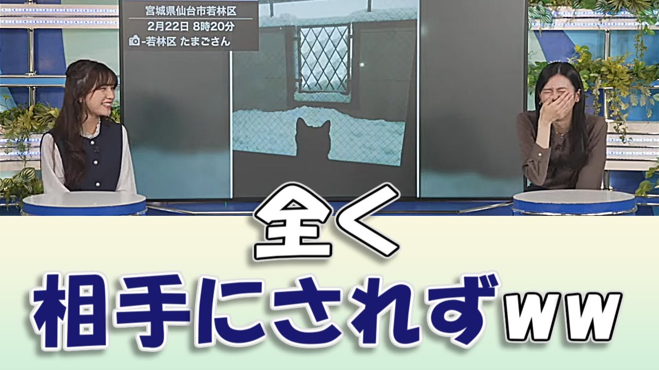 【#大島璃音 & #松雪彩花】全く相手にされず、見向きもされずw【#ウェザーニュースLiVE #切り抜き】